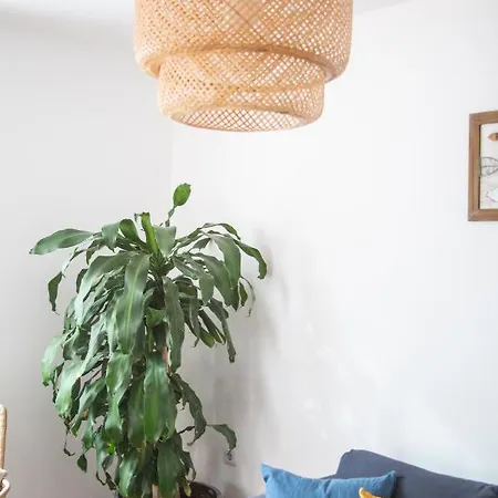 Arena Blanca קורלחו